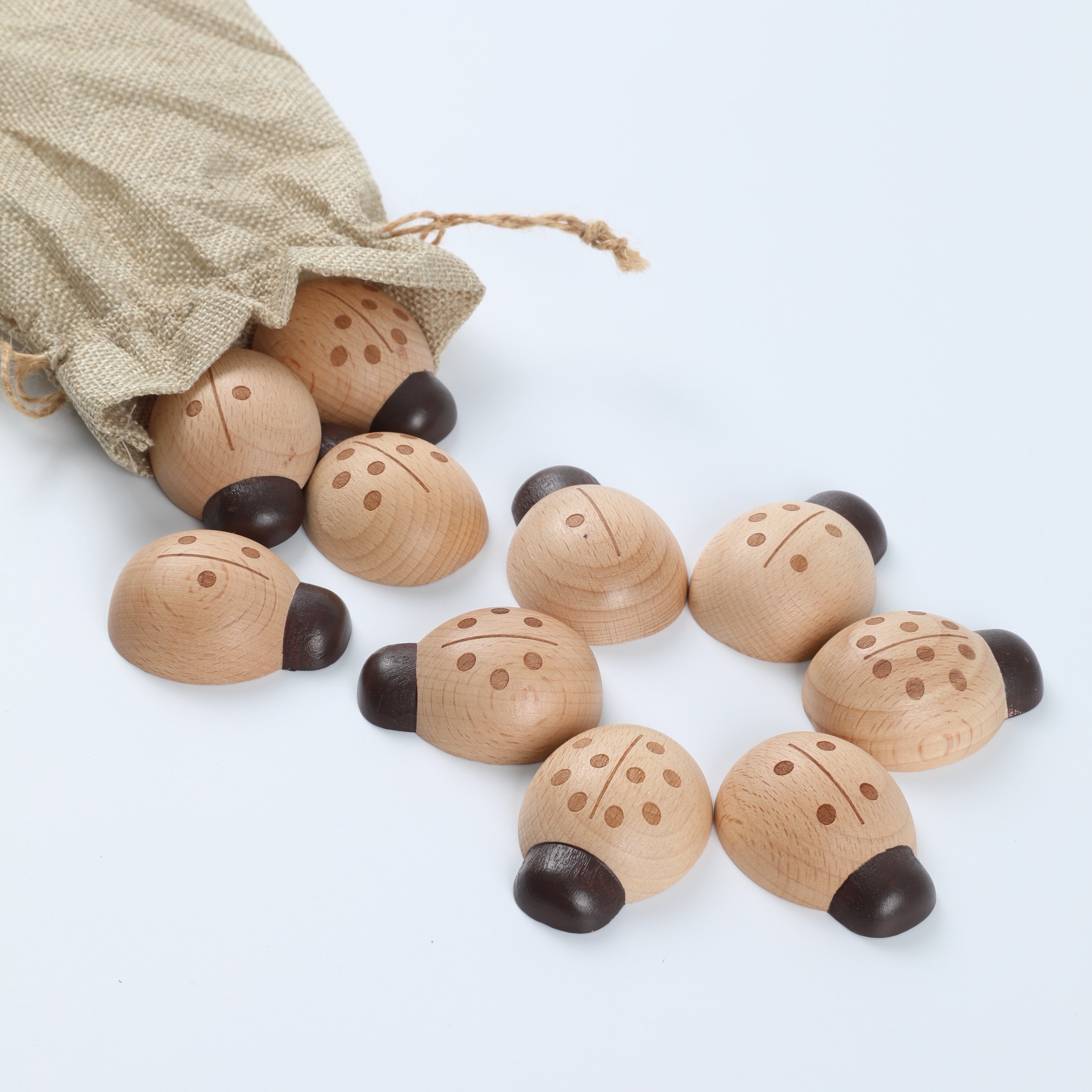 Ladybug Number Matching Counting Toy Set