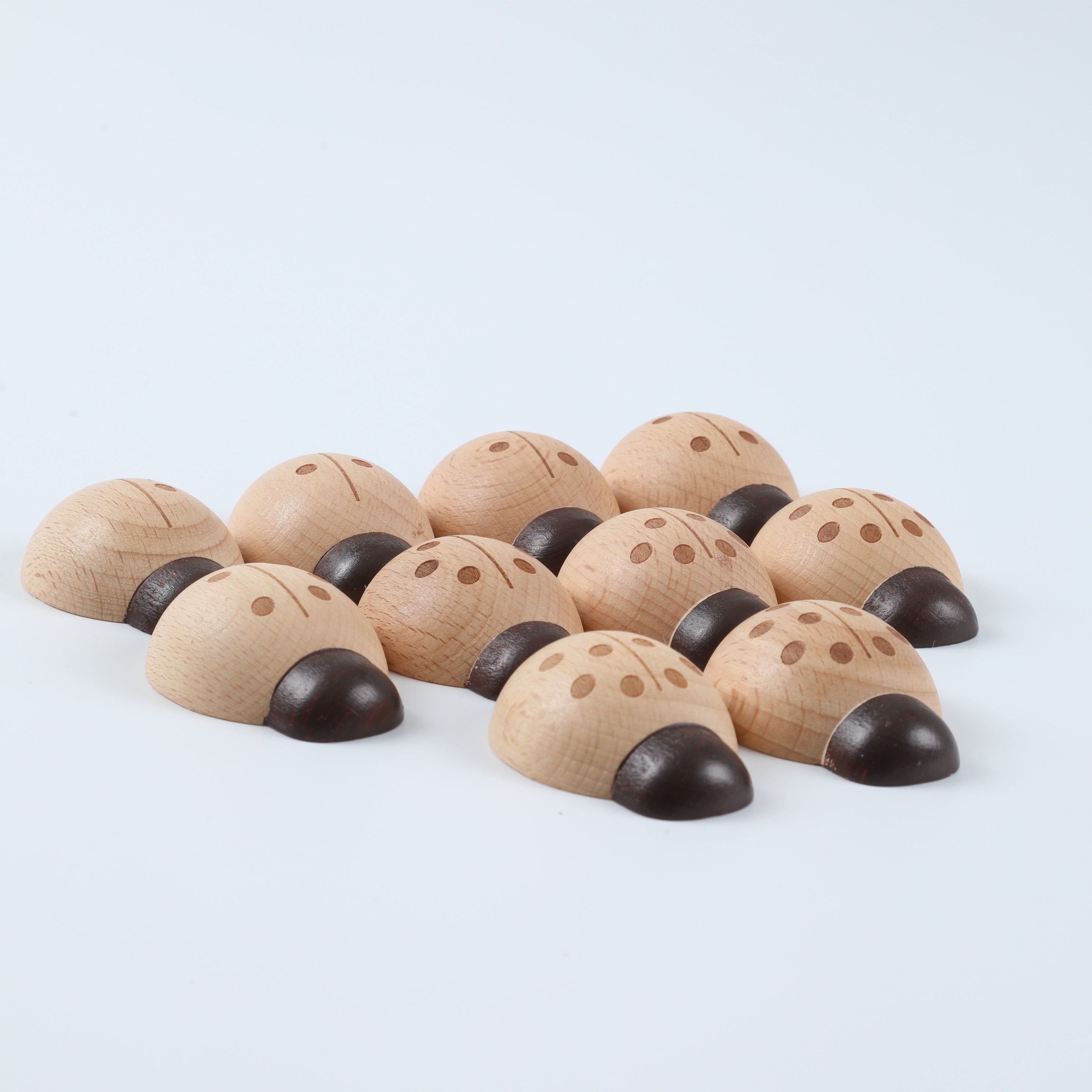 Ladybug Number Matching Counting Toy Set